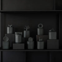 Akebia Black - Prune noire et rhubarbe